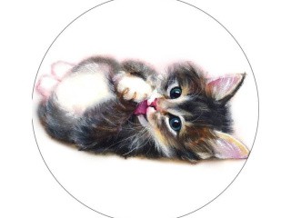 Набор для вышивания «Милый котенок» Набор для вышивания «Милый котенок»