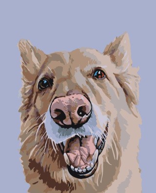 Картина по номерам «Джеймсон» Картина по номерам «Джеймсон»