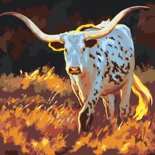 Картина по номерам «Бык» Картина по номерам «Бык»