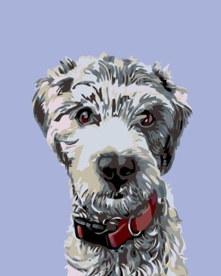 Картина по номерам «Тайджер» Картина по номерам «Тайджер»