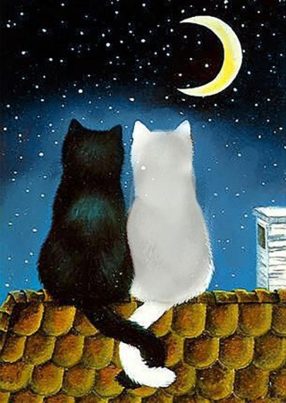 Алмазная вышивка «Свидание на крыше» Алмазная вышивка «Свидание на крыше»