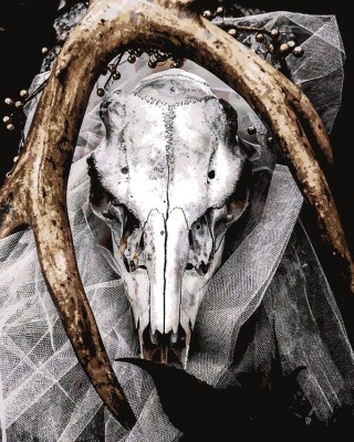 Картина по номерам «Тотем» Картина по номерам «Тотем»