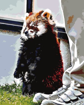 Картина по номерам «Печеньку не дали» Картина по номерам «Печеньку не дали»