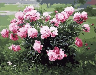 Картина по номерам «Цветочный куст» Картина по номерам «Цветочный куст»