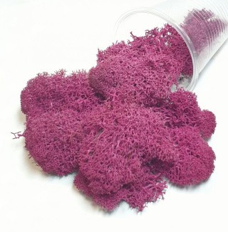 Ягель (мох) стабилизированный Фуксия, ResinArt Ягель (мох) стабилизированный Фуксия, ResinArt