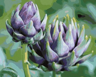 Картина по номерам «Артишок» Картина по номерам «Артишок»