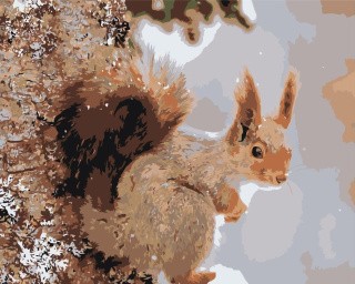 Картина по номерам «Белка» Картина по номерам «Белка»