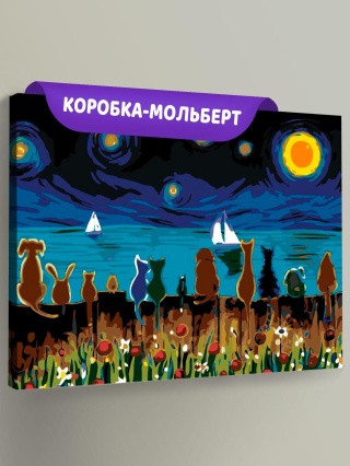 Картина по номерам «Любуясь звёздным небом»