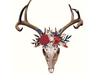 Картина по номерам «Череп» Картина по номерам «Череп»