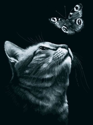 Картина по номерам «Бабочка» Картина по номерам «Бабочка»