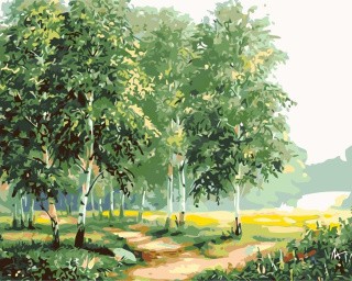 Картина по номерам «Берёзы» Картина по номерам «Берёзы»