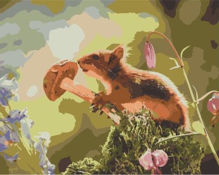 Картина по номерам «Белка с грибом» Картина по номерам «Белка с грибом»