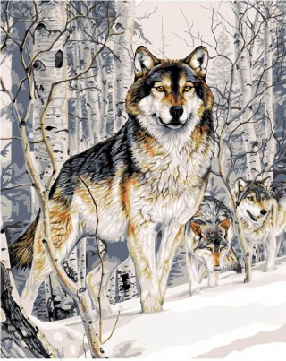 Картина по номерам «Взгляд» Картина по номерам «Взгляд»