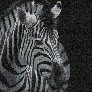 Картина по номерам «Зебра» Картина по номерам «Зебра»