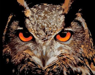 Картина по номерам «Взгляд филина» Картина по номерам «Взгляд филина»