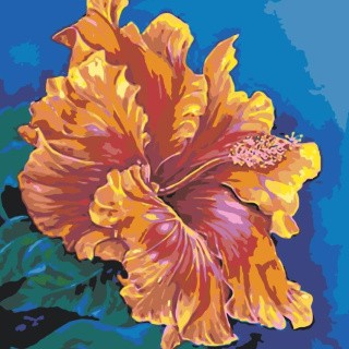 Картина по номерам «Яркий цвет» Картина по номерам «Яркий цвет»