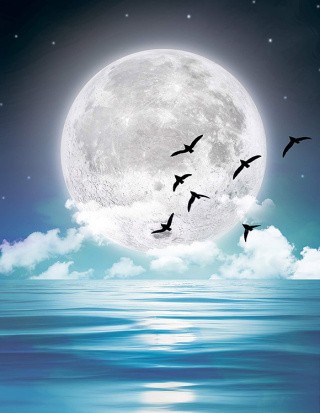 Картина по номерам «Под лунным светом»