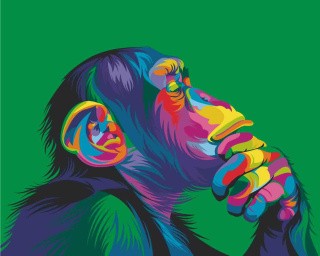 Картина по номерам «Радужная обезьяна» Картина по номерам «Радужная обезьяна»