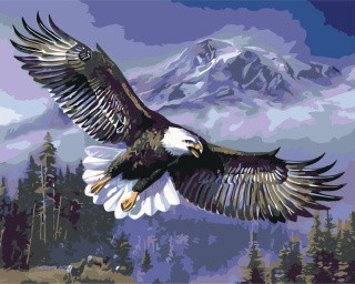 Картина по номерам «Полёт орла»