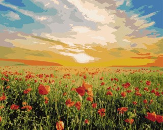 Картина по номерам «Маки и солнце» Картина по номерам «Маки и солнце»