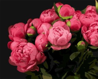 Картина по номерам «Расцветающие пионы» Картина по номерам «Расцветающие пионы»