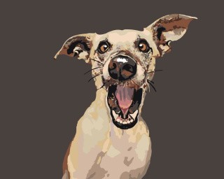 Картина по номерам «Макс» Картина по номерам «Макс»