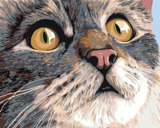 Картина по номерам «Удивление» Картина по номерам «Удивление»