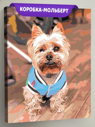 Картина по номерам «Йоркширский терьер»
