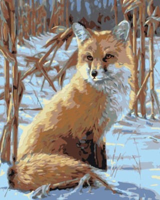 Картина по номерам «Лисичка» Картина по номерам «Лисичка»