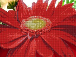 Рисунок на канве «Красный цветок»