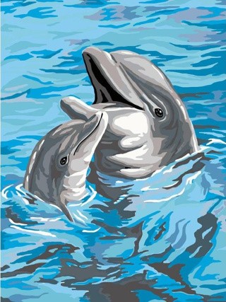 Картина по номерам «Дельфины»