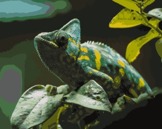 Картина по номерам «Хамелеон» Картина по номерам «Хамелеон»