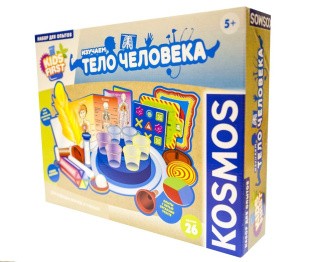 Игровой набор «Изучаем тело человека», KIDS FIRST