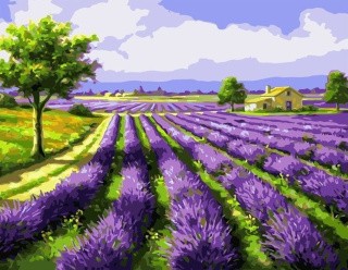 Картина по номерам «Лавандовое поле» Картина по номерам «Лавандовое поле»