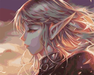 Картина по номерам «Эльф» Картина по номерам «Эльф»