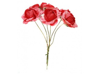 Набор цветов «Бальзамин красный»