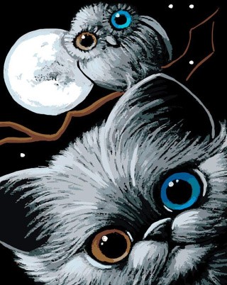 Картина по номерам «Ночные совушки»