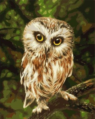 Картина по номерам «Маленький совенок» Картина по номерам «Маленький совенок»