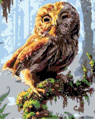 Картина по номерам «Сова на ветке» Картина по номерам «Сова на ветке»