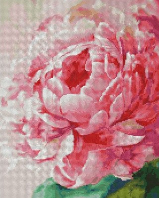 Алмазная вышивка «Пион» Алмазная вышивка «Пион»