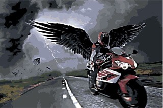 Картина по номерам «Крылатый гонщик»