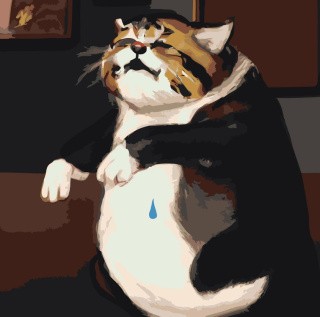 Картина по номерам «Плачущий толстый кот»