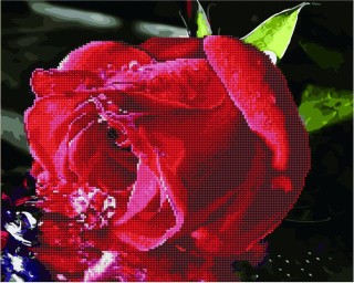 Алмазная картина-раскраска «Прохлада для розы»
