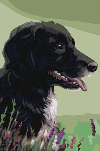 Картина по номерам «Чёрный пёс»