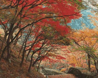 Картина по номерам «Яркая осень» Картина по номерам «Яркая осень»