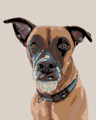 Картина по номерам «Рокки» Картина по номерам «Рокки»