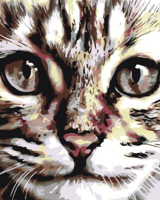 Картина по номерам «Портрет кота»