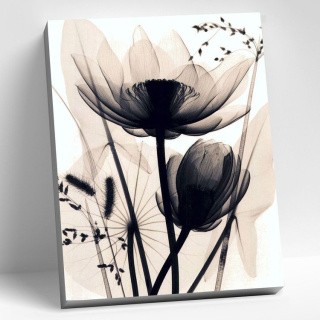 Картина по номерам «Монохромные цветы»
