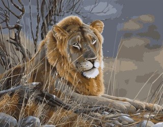 Картина по номерам «Царь зверей» Картина по номерам «Царь зверей»