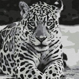 Картина по номерам «Ягуар» Картина по номерам «Ягуар»